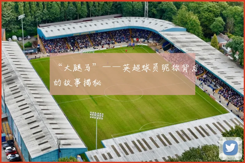 “大腿马”——英超球员昵称背后的故事揭秘
